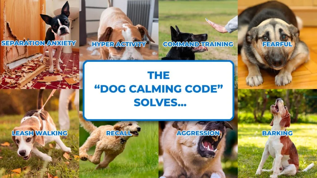 The Dog Calming Code